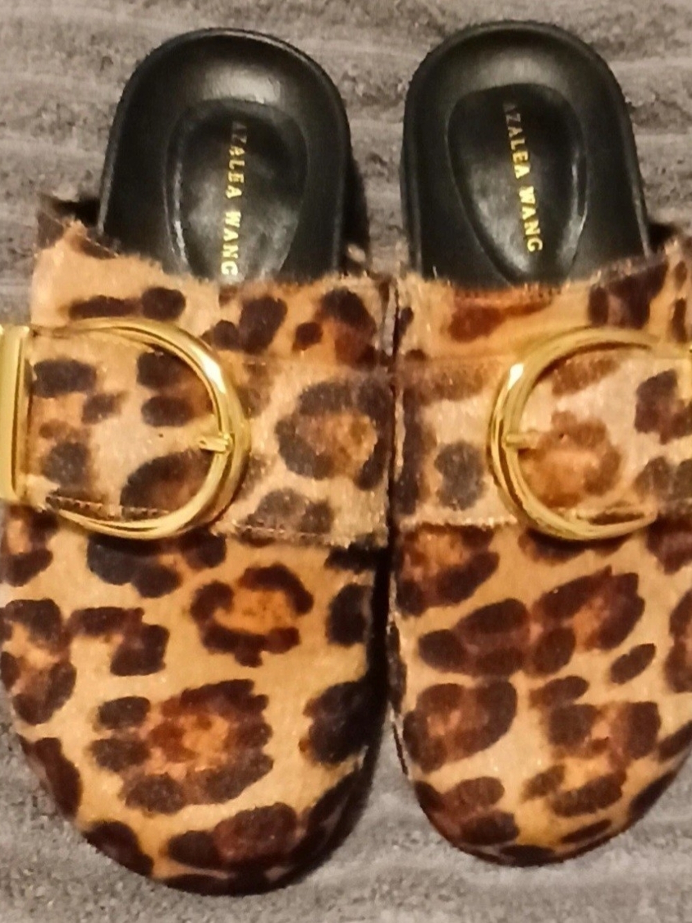Azalea Wang Archibald Leopard Print Clogs Gold Metal Buckle Slip On Sz 8